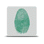 1505884448629237.gif