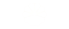 中國(guó)石油